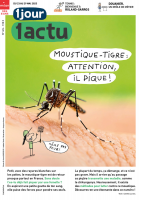 Des moustiques-tigres contre... les moustiques-tigres