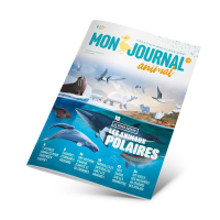 Tout savoir sur... les marmottes
