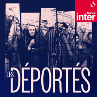 La r&eacute;insertion