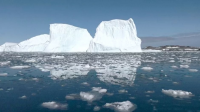 Dossier : les icebergs